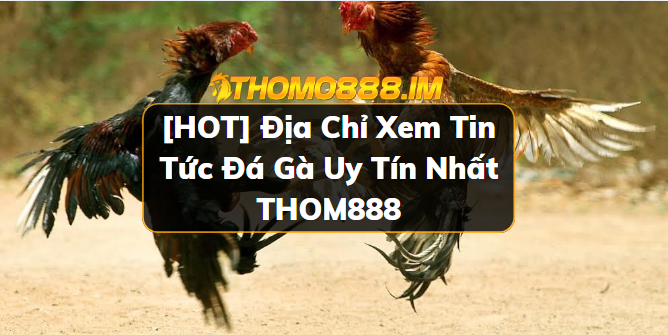 Tin tức đá gà