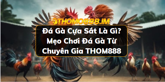 Đá gà cựa sắt