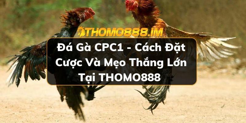 Đá gà CPC1