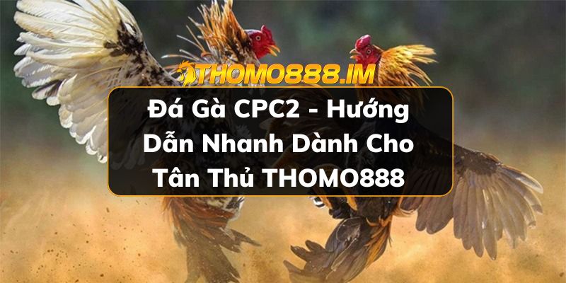 Đá gà CPC2