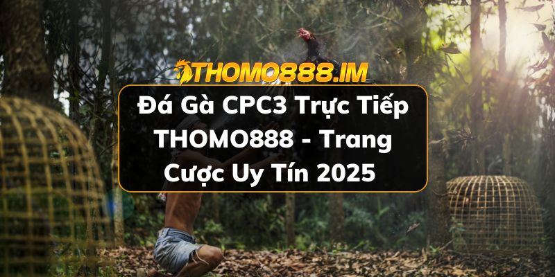 Đá gà CPC3